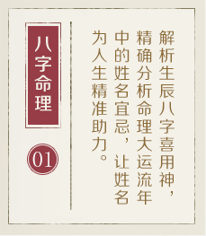 苍南起名流程一